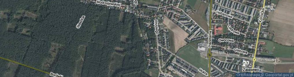 Zdjęcie satelitarne Orzechowa ul.