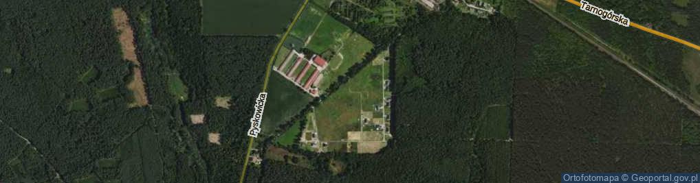 Zdjęcie satelitarne Osiedle pod Dębami os.