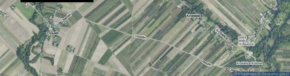 Zdjęcie satelitarne Ossolin ul.
