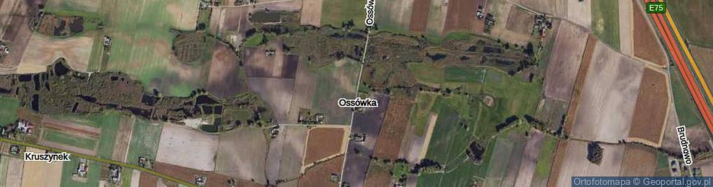 Zdjęcie satelitarne Ossówka ul.