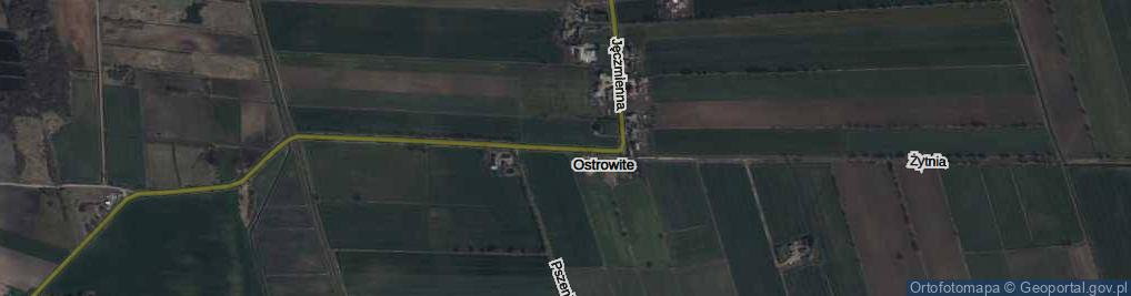 Zdjęcie satelitarne Ostrowite ul.