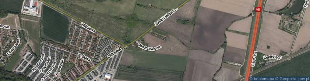 Zdjęcie satelitarne Osikowa ul.