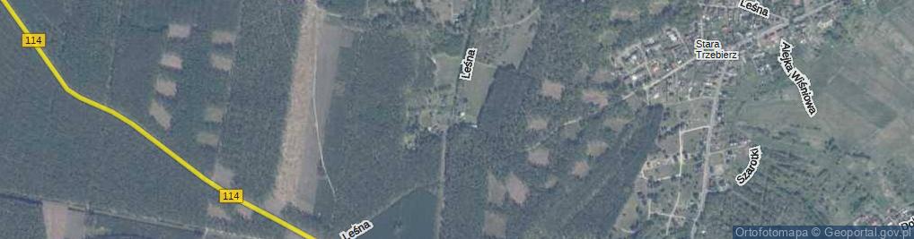 Zdjęcie satelitarne Osada Leśna ul.
