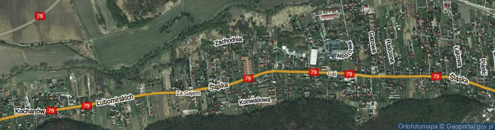 Zdjęcie satelitarne Osiedle Lipowy Gaj os.