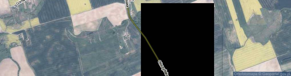 Zdjęcie satelitarne Otoczyńska ul.