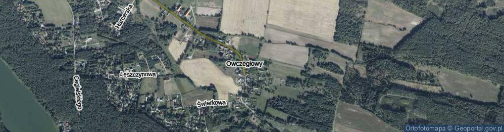Zdjęcie satelitarne Owczegłowy ul.