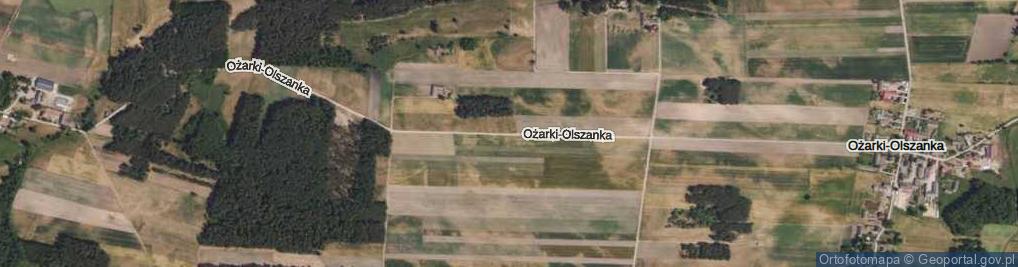 Zdjęcie satelitarne Ożarki-Olszanka ul.