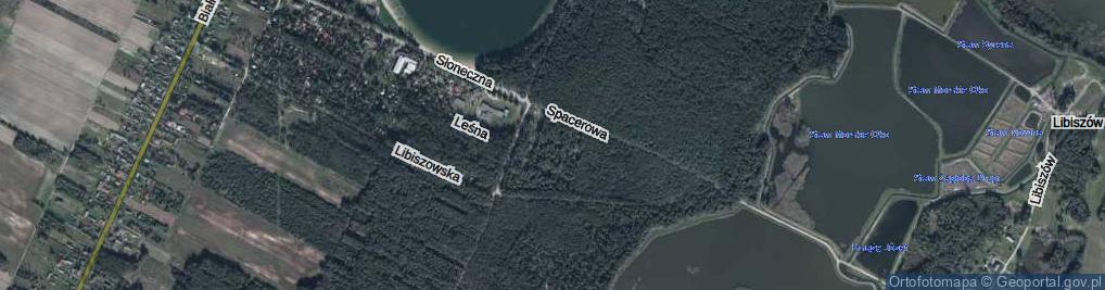 Zdjęcie satelitarne Paproci ul.