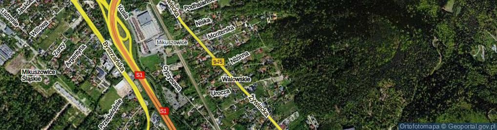 Zdjęcie satelitarne Pasterska ul.