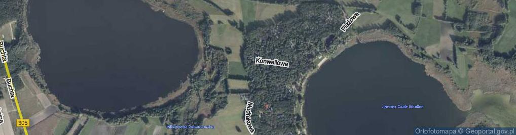 Zdjęcie satelitarne Paprociowa ul.