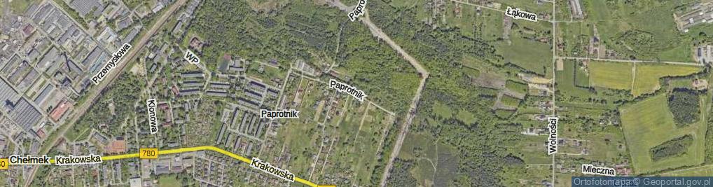 Zdjęcie satelitarne Paprotnik ul.