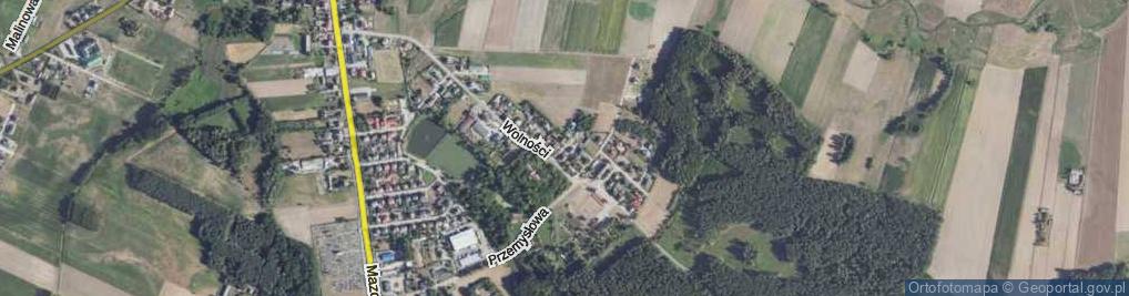 Zdjęcie satelitarne Pałacowa ul.