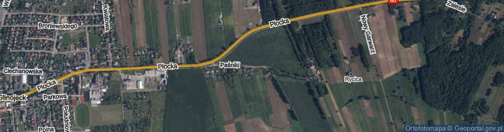 Zdjęcie satelitarne Paśniki ul.