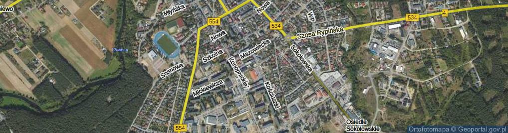 Zdjęcie satelitarne Palmowa ul.