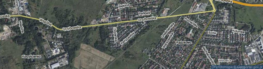 Zdjęcie satelitarne Partyzantów ul.