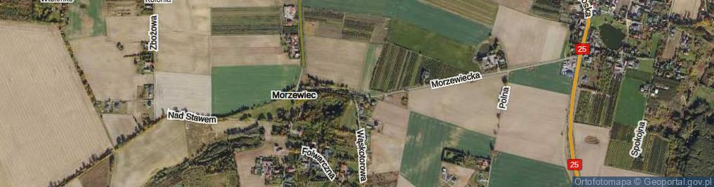 Zdjęcie satelitarne Parkowa ul.