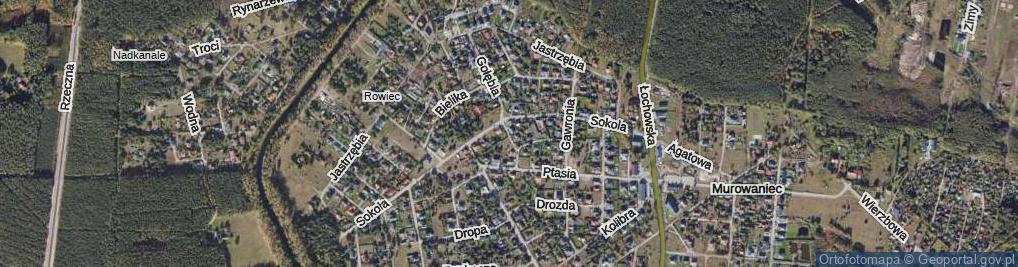 Zdjęcie satelitarne Papuzia ul.