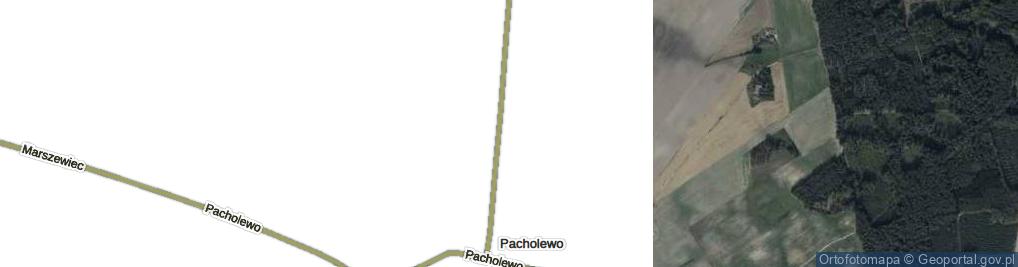 Zdjęcie satelitarne Pacholewo ul.