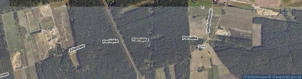 Zdjęcie satelitarne Pamiątka ul.