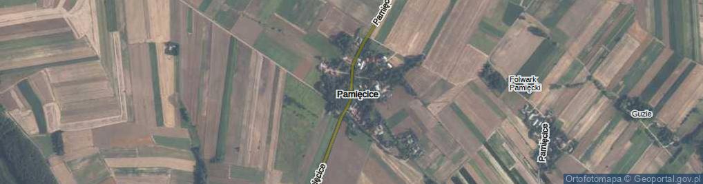 Zdjęcie satelitarne Pamięcice ul.