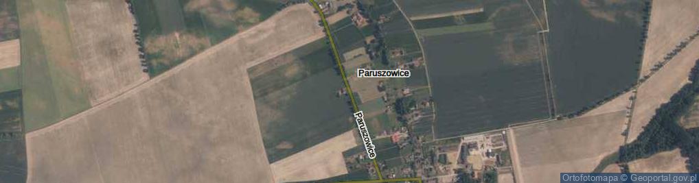 Zdjęcie satelitarne Paruszowice ul.
