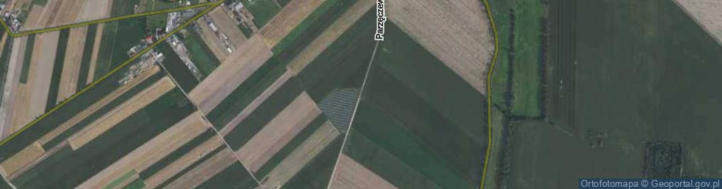 Zdjęcie satelitarne Parzęczewo ul.