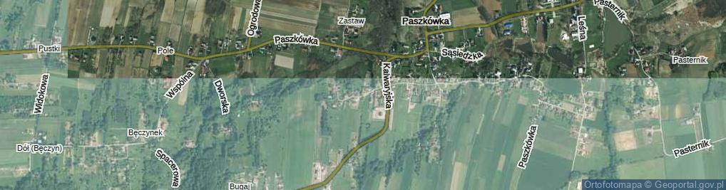 Zdjęcie satelitarne Pagorek ul.