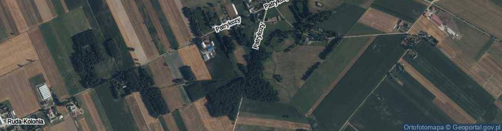 Zdjęcie satelitarne Patrykozy ul.