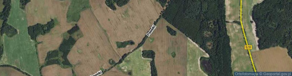 Zdjęcie satelitarne Pawełki ul.