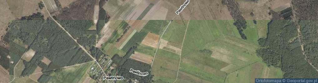 Zdjęcie satelitarne Pawlinowo ul.