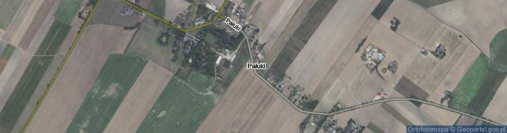 Zdjęcie satelitarne Pałuki ul.