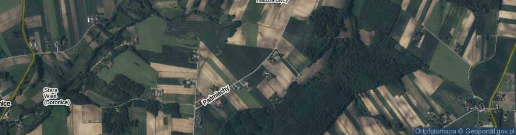 Zdjęcie satelitarne Paśmiechy ul.