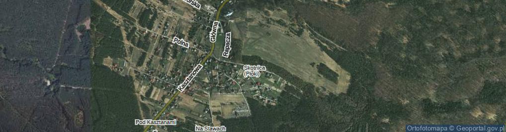 Zdjęcie satelitarne Pasieczna ul.