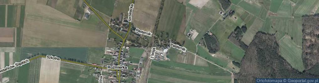 Zdjęcie satelitarne Pasternik ul.