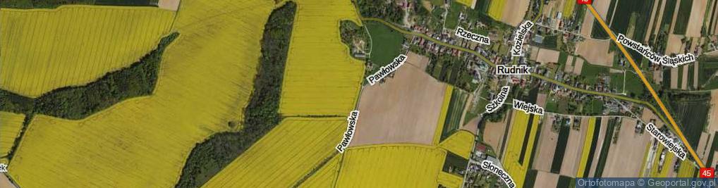 Zdjęcie satelitarne Pawłowska ul.