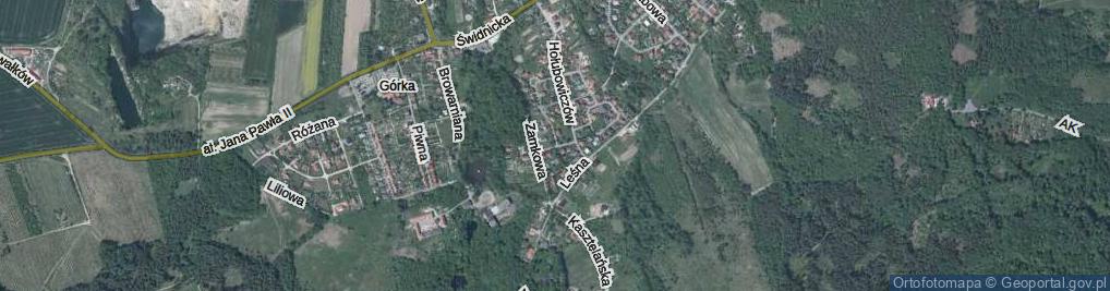 Zdjęcie satelitarne Pałacowa ul.