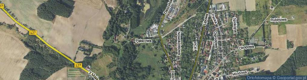 Zdjęcie satelitarne Pałacowa ul.