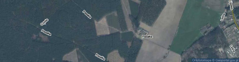 Zdjęcie satelitarne Pasałka ul.