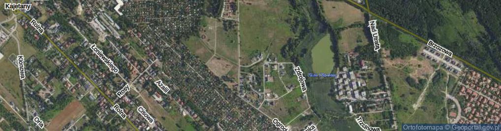 Zdjęcie satelitarne Pachnąca ul.