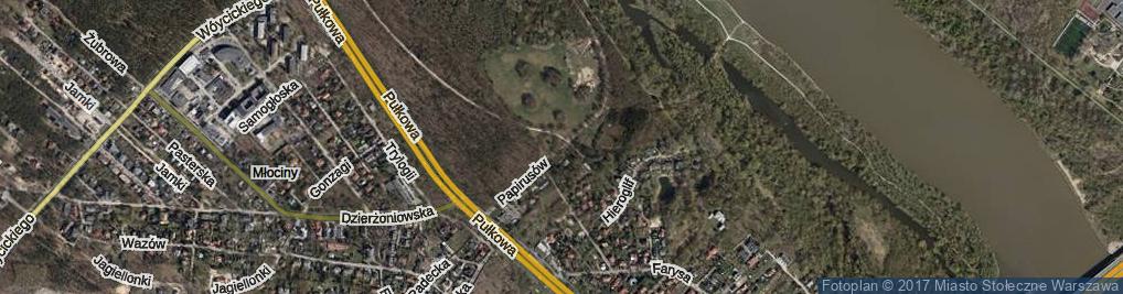 Zdjęcie satelitarne Papirusów ul.