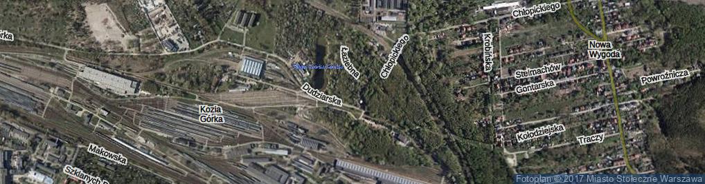 Zdjęcie satelitarne Paśników ul.