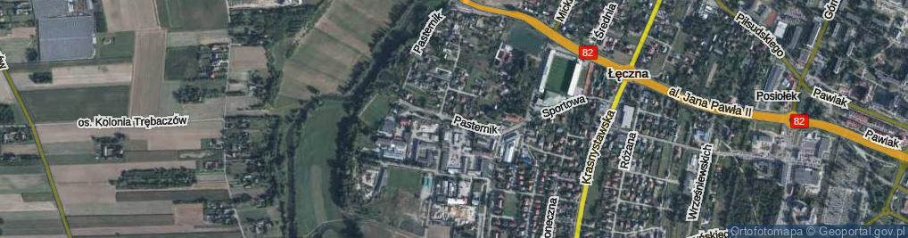 Zdjęcie satelitarne Pasternik ul.