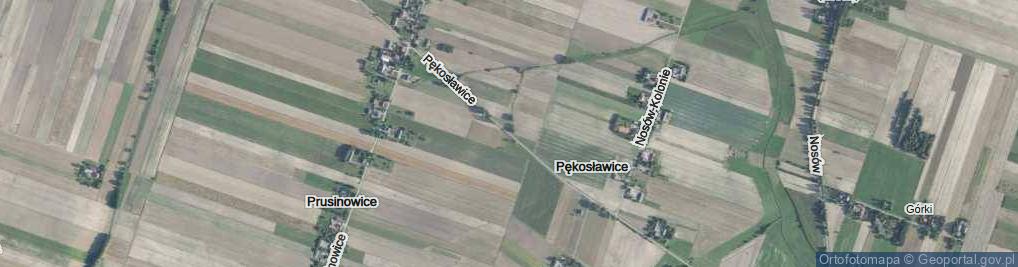 Zdjęcie satelitarne Pękosławice ul.