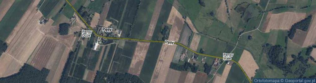 Zdjęcie satelitarne Pęsy ul.