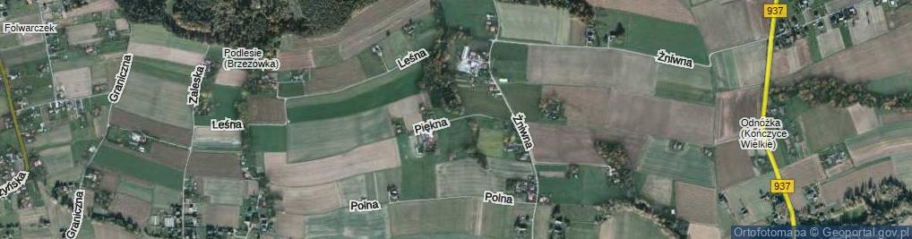 Zdjęcie satelitarne Piękna ul.