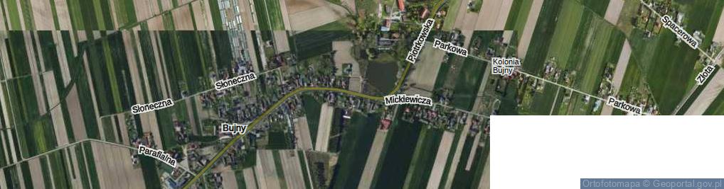 Zdjęcie satelitarne Piotrkowska ul.