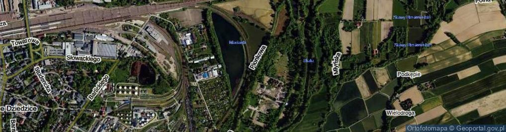 Zdjęcie satelitarne Pionkowa ul.