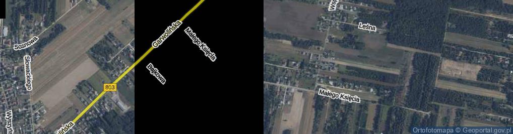 Zdjęcie satelitarne Piotrusia Pana ul.