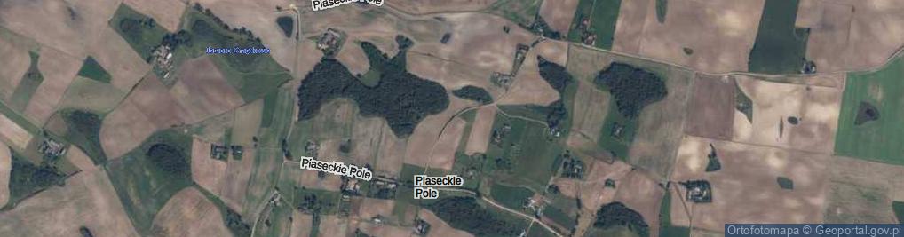 Zdjęcie satelitarne Piaseckie Pole ul.