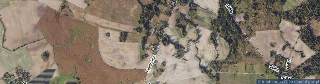 Zdjęcie satelitarne Piastowice ul.